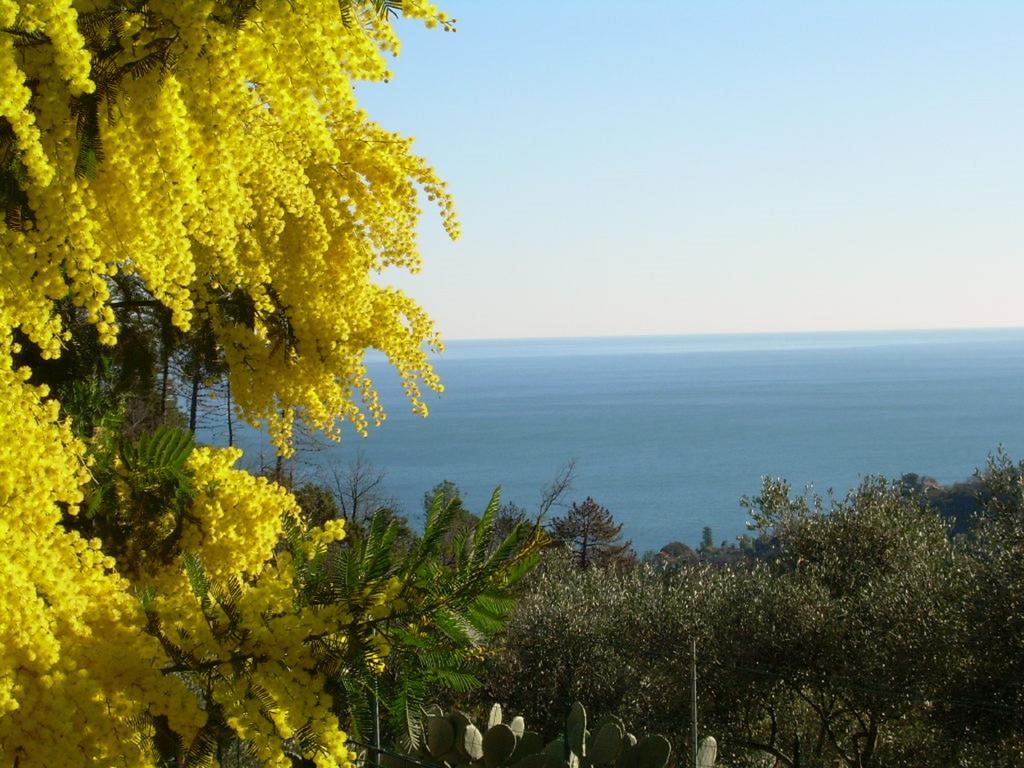 Appartamento Ariabuona Moneglia Esterno foto