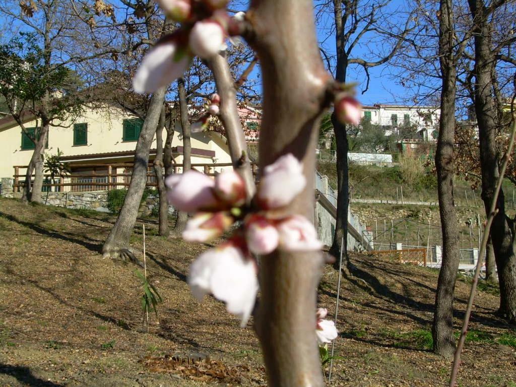 Appartamento Ariabuona Moneglia Esterno foto