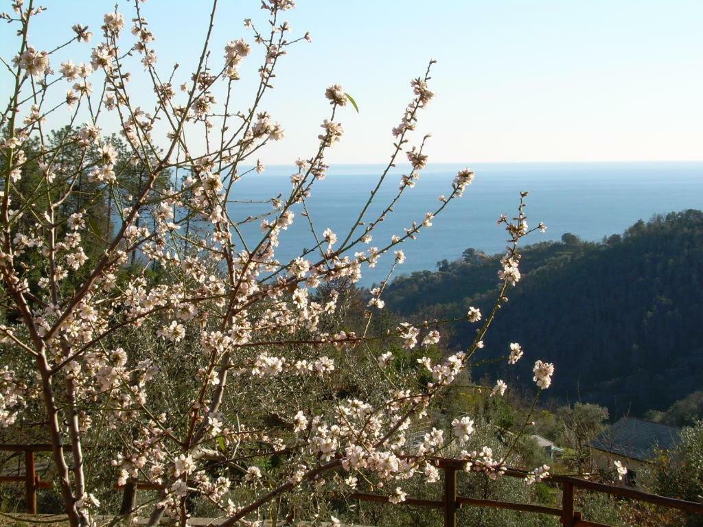 Appartamento Ariabuona Moneglia Esterno foto